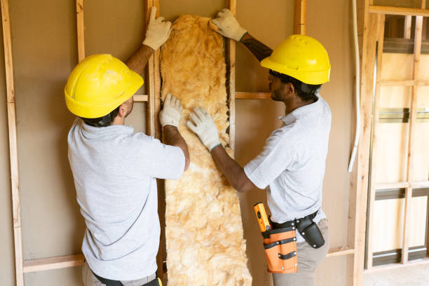 Best Attic Insulation Installation  in Lake Helen, FL